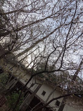 モダン湯治 おんりーゆーに投稿された画像（2021/3/22）