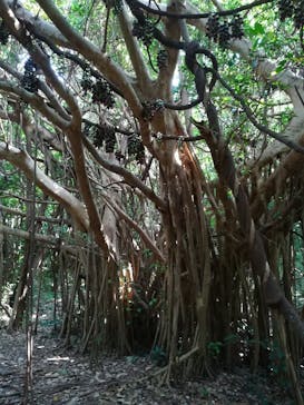 アスムイハイクスに投稿された画像（2021/3/22）