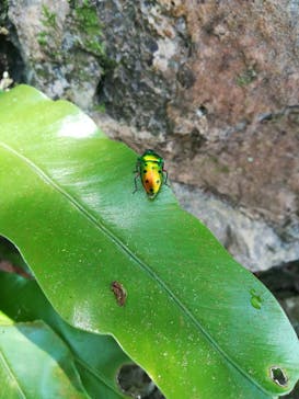 アスムイハイクスに投稿された画像（2021/3/22）