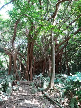 アスムイハイクスに投稿された画像（2021/3/22）