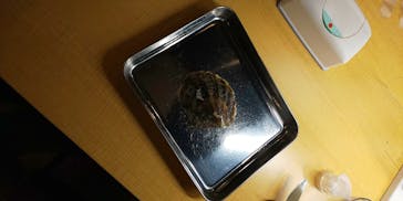 三重県真珠に投稿された画像（2021/3/22）