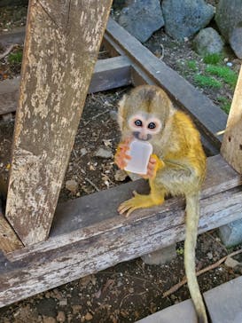 伊豆シャボテン動物公園に投稿された画像（2021/3/23）