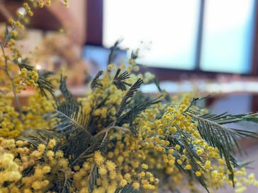 アトリエひわだやに投稿された画像（2021/3/23）