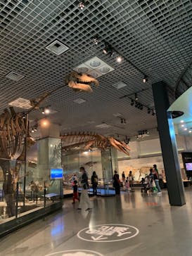 国立科学博物館に投稿された画像（2021/3/23）