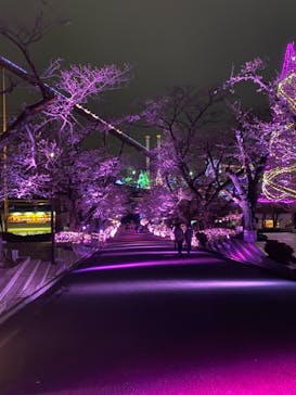 よみうりランド 遊園地に投稿された画像（2021/3/23）