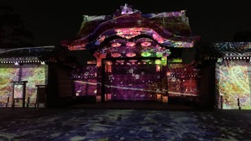 二条城×ネイキッド 二条城夏まつり2021に投稿された画像（2021/3/23）