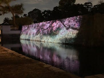 二条城×ネイキッド 二条城夏まつり2021に投稿された画像（2021/3/23）