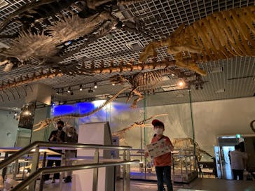 国立科学博物館に投稿された画像（2021/3/23）