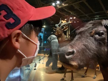 国立科学博物館に投稿された画像（2021/3/23）