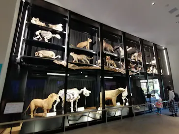 天王寺動物園に投稿された画像（2021/3/23）