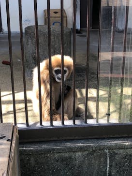 九十九島遊覧船に投稿された画像（2021/3/23）