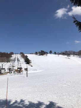 斑尾高原スキー場に投稿された画像（2021/3/23）