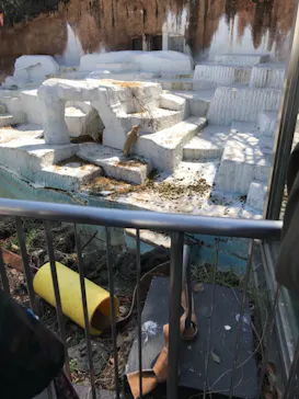 天王寺動物園に投稿された画像（2021/3/23）