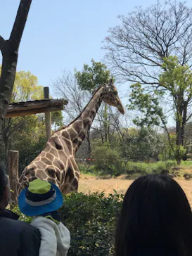 天王寺動物園に投稿された画像（2021/3/23）