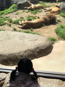 天王寺動物園に投稿された画像（2021/3/23）
