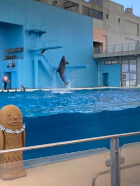 横浜・八景島シーパラダイスに投稿された画像（2021/3/23）