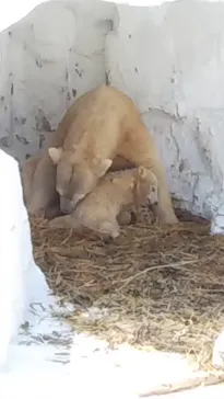 天王寺動物園に投稿された画像（2021/3/23）