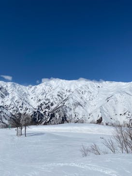Hakuba47ウィンタースポーツパークに投稿された画像（2021/3/23）