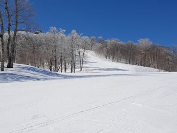 野沢温泉スキー場に投稿された画像（2021/3/23）