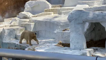 天王寺動物園に投稿された画像（2021/3/23）
