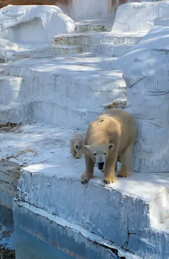 天王寺動物園に投稿された画像（2021/3/23）