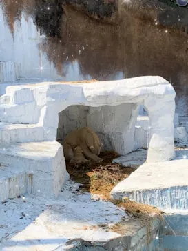 天王寺動物園に投稿された画像（2021/3/23）