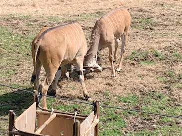天王寺動物園に投稿された画像（2021/3/23）