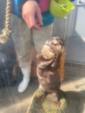 京急油壺マリンパークに投稿された画像（2021/3/23）