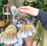 しろとり動物園に投稿された画像（2021/3/23）
