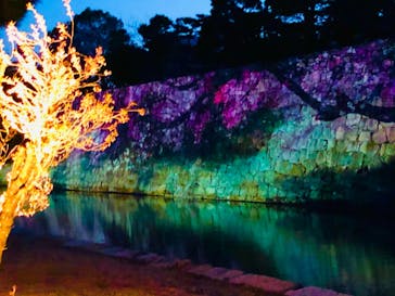 二条城×ネイキッド 二条城夏まつり2021に投稿された画像（2021/3/23）