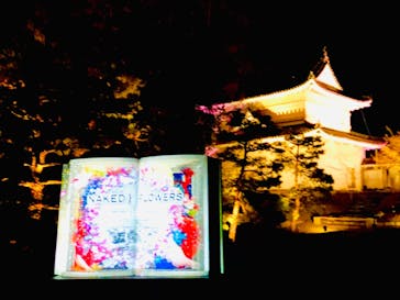 二条城×ネイキッド 二条城夏まつり2021に投稿された画像（2021/3/23）