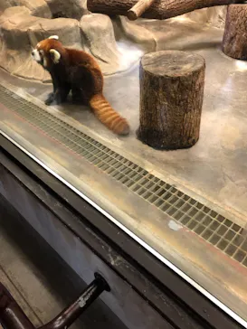 天王寺動物園に投稿された画像（2021/3/23）