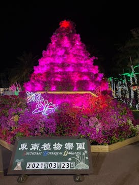 美らヤシパークオキナワ・東南植物楽園に投稿された画像（2021/3/23）