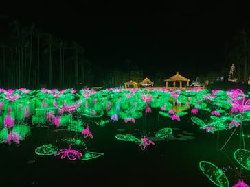 美らヤシパークオキナワ・東南植物楽園に投稿された画像（2021/3/23）