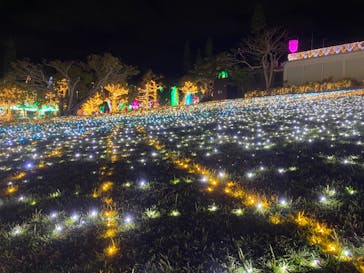 美らヤシパークオキナワ・東南植物楽園に投稿された画像（2021/3/23）