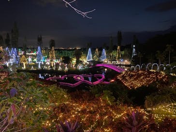 美らヤシパークオキナワ・東南植物楽園に投稿された画像（2021/3/23）