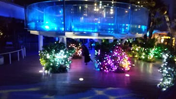 サンシャイン水族館に投稿された画像（2021/3/23）