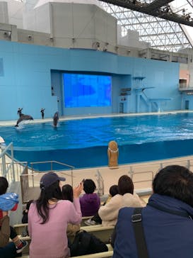 横浜・八景島シーパラダイスに投稿された画像（2021/3/23）