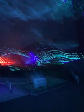 KYOTO ILLUMINATION SYNESTHESIA HILLS るり渓温泉に投稿された画像（2021/3/23）