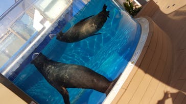 サンシャイン水族館に投稿された画像（2021/3/23）