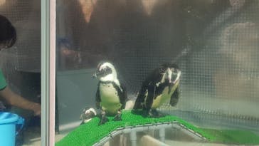 サンシャイン水族館に投稿された画像（2021/3/23）