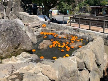 伊豆シャボテン動物公園に投稿された画像（2021/3/23）