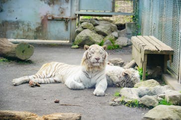 伊豆アニマルキングダムに投稿された画像（2021/3/23）