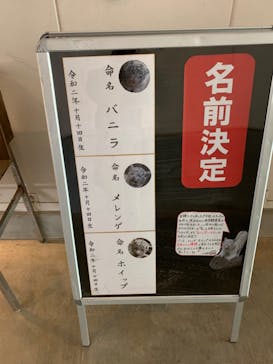 伊豆アニマルキングダムに投稿された画像（2021/3/23）