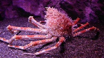 マリンワールド海の中道に投稿された画像（2021/3/23）