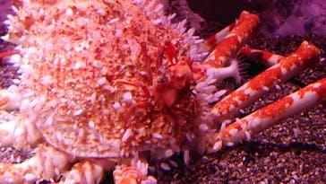 マリンワールド海の中道に投稿された画像（2021/3/23）