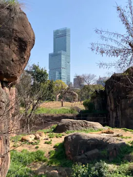 天王寺動物園に投稿された画像（2021/3/23）