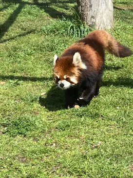 天王寺動物園に投稿された画像（2021/3/23）
