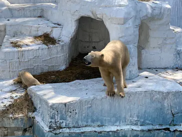 天王寺動物園に投稿された画像（2021/3/23）