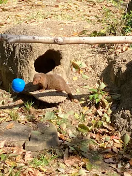 天王寺動物園に投稿された画像（2021/3/23）